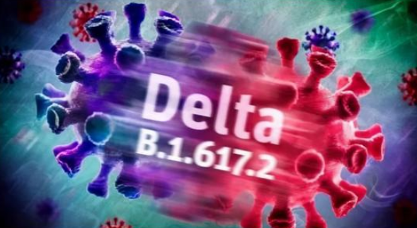 南京疫情病毒毒株是德爾塔毒株？德爾塔毒株有哪些特點(diǎn)？
