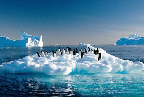 強(qiáng)寒潮是在打臉全球變暖嗎？